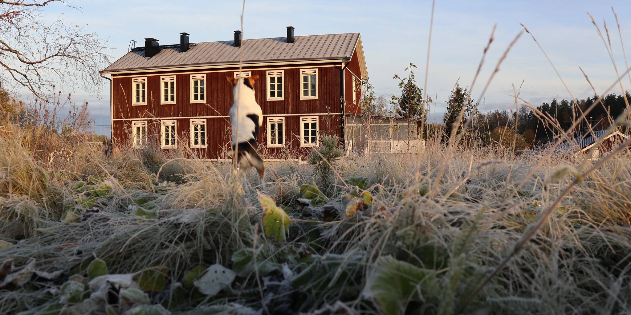 Härmän Ratin hirsirakennus pakkasaamuna