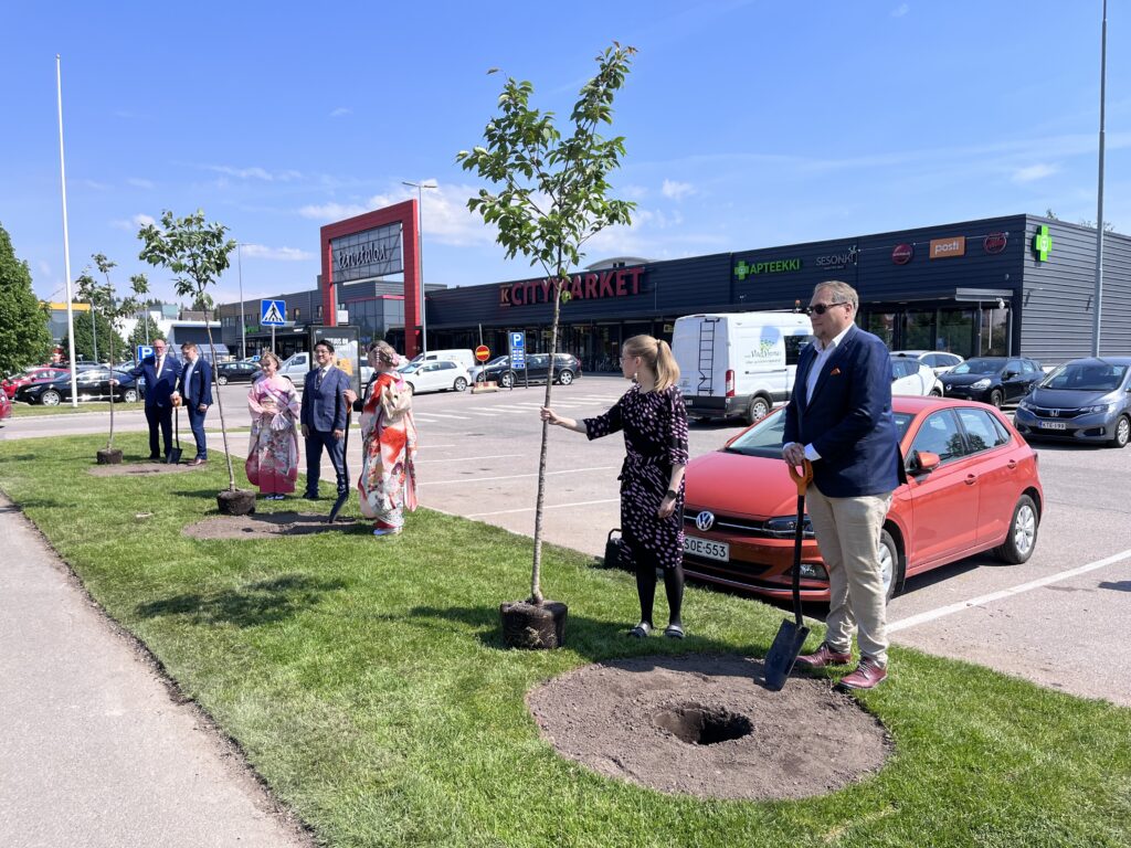 Ihmisiä istuttamassa puita nurmikkoalueella, taustalla ruokakauppa.