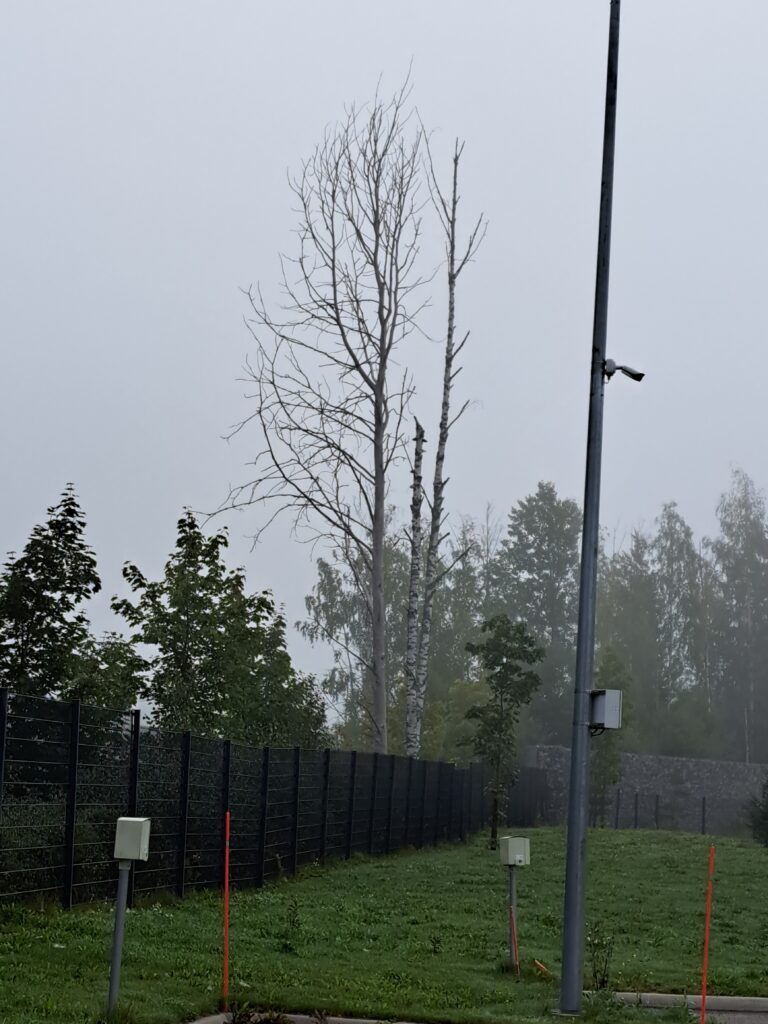 Kuvassa näkyy sumuinen maisema, jossa on kuivuneita, lehdettömiä puita, vihreää nurmikkoa ja metalliaita. Etualalla on valopylväs, johon on kiinnitetty kamera. Taustalla näkyy myös joitakin muita puita ja harmaasävyinen taivas, mikä korostaa sumuista tunnelmaa.